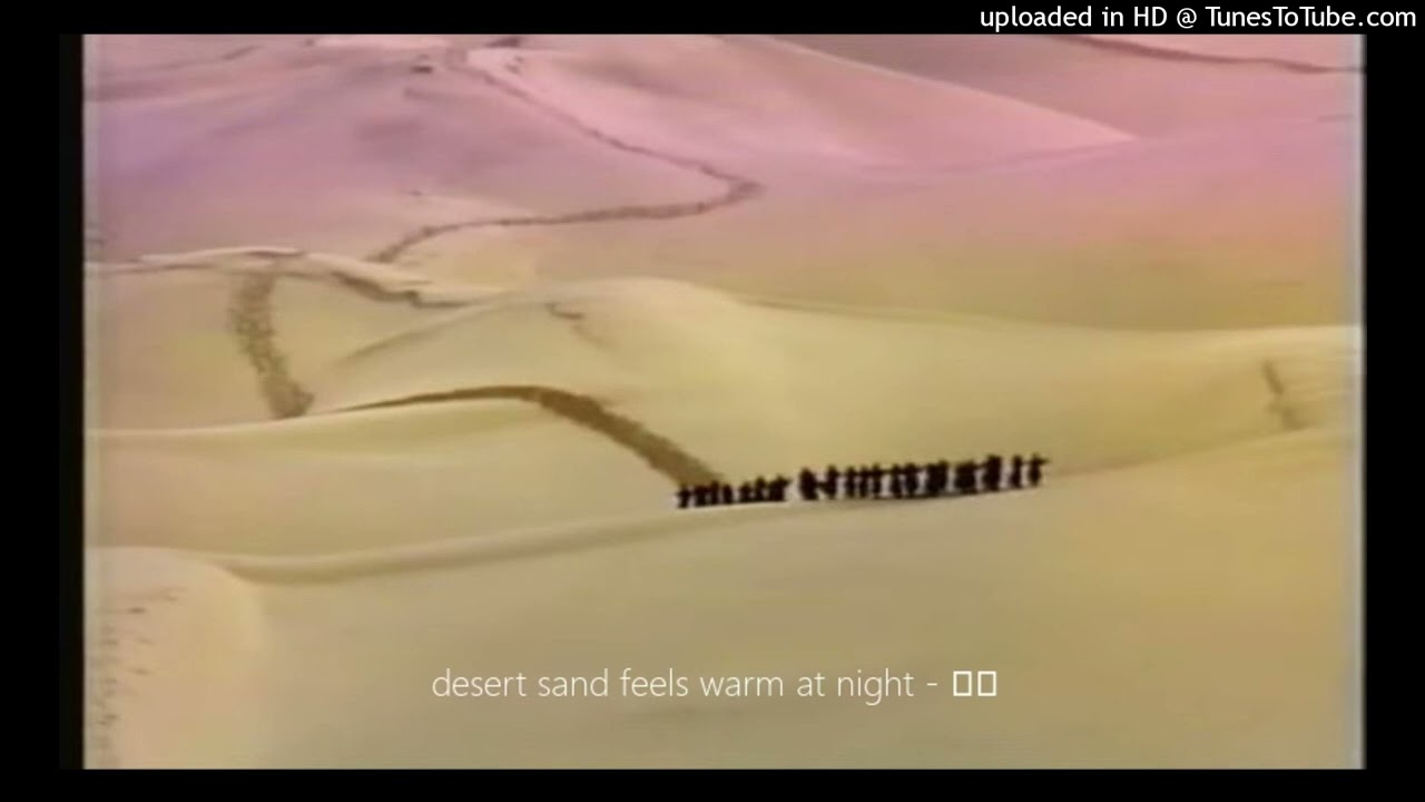 desert sand feels warm at night - 砂丘