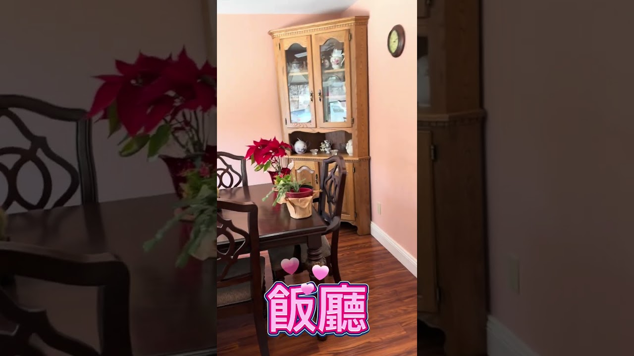 這房子挺不錯就是後面高速公路離房子很近