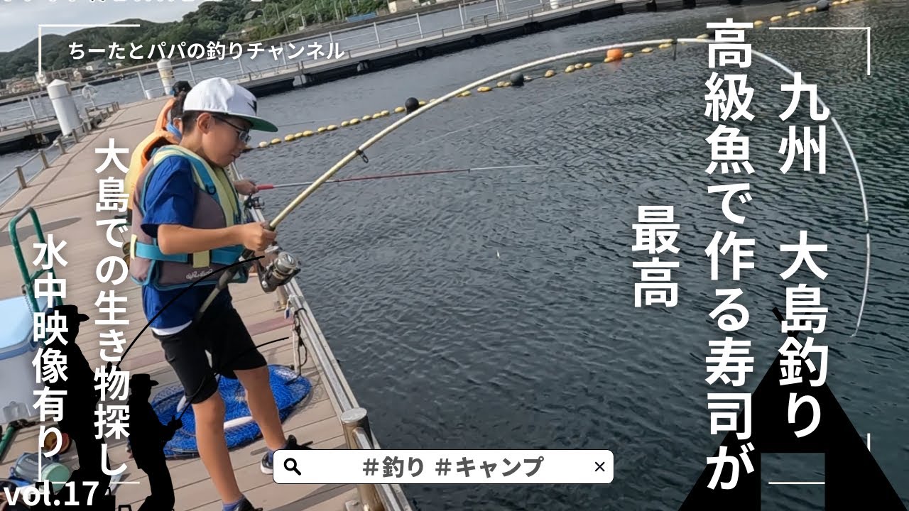九州旅行　宗像大島　高級魚で作るお手製お寿司が控えめに言って最高だった　うみんぐ大島　水中映像