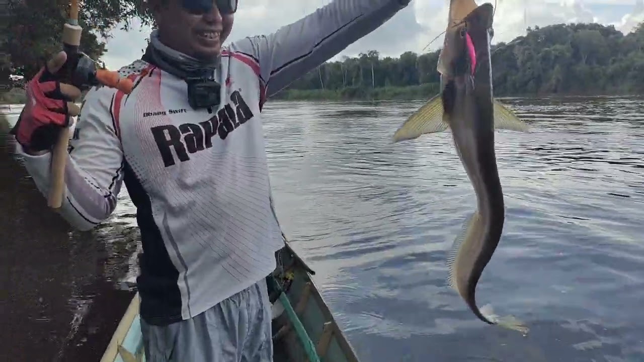SALAH SATU TRAVEL ROD TERKUAT ! RAPALA CLASSIC SHADRAP FIBERGLASS
