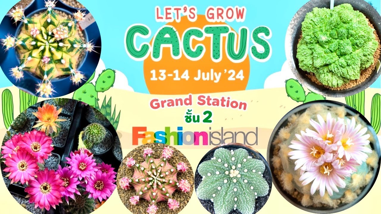 Tour Cactus Fair : ✨🎊🌵Let’s Grow cactus @Fashion Island, Thailand | 13th - 14th July 2024