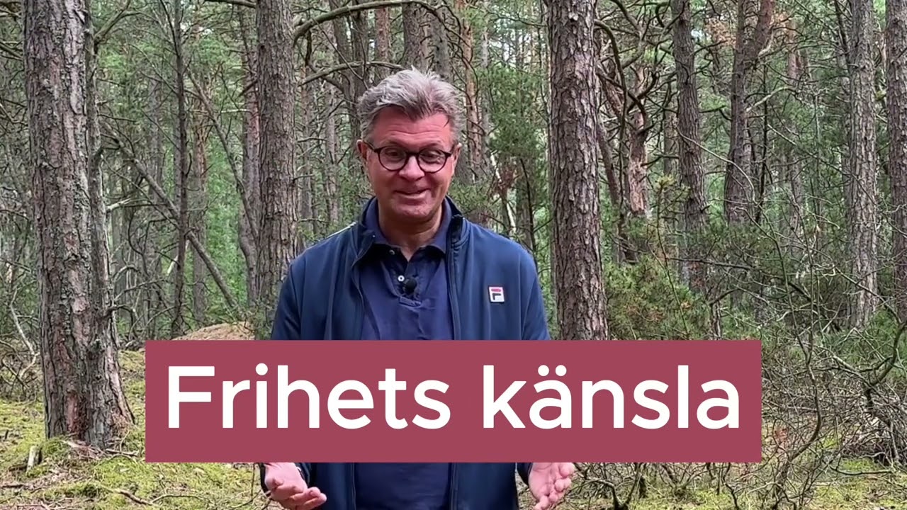 Kraften i sårbarhet: Nyckeln till inre styrka och frihet