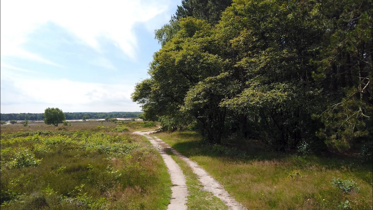 Walking in Fields and Forests | Het Gooi | The Netherlands 4K⁶⁰