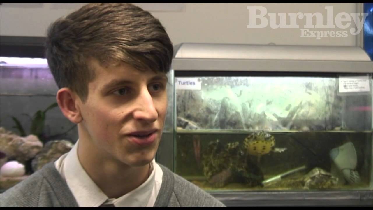 Animals ruling the roost at Burnley school