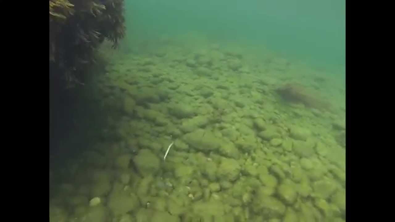 Snorkeling outside Silvergrottan