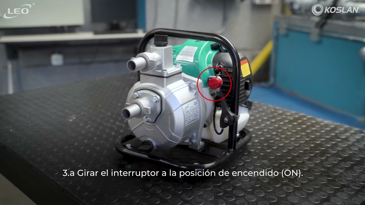 Motobombas LEO LGP10