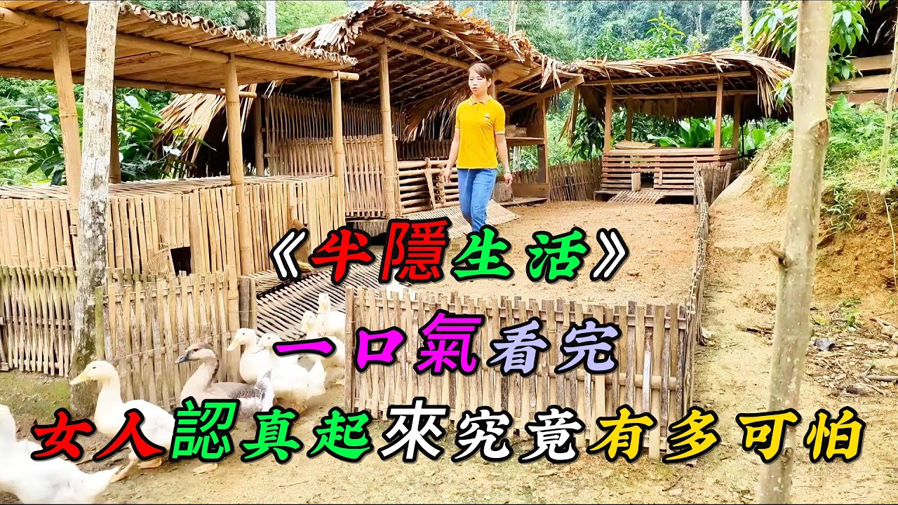 一口氣看完《半隱生活》女人一旦認真起來究竟有多可怕