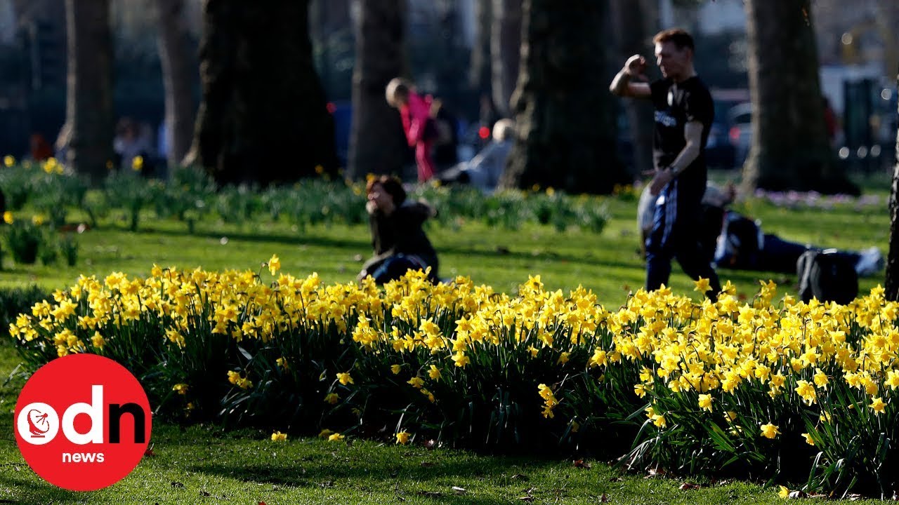 Hottest February day on record!
