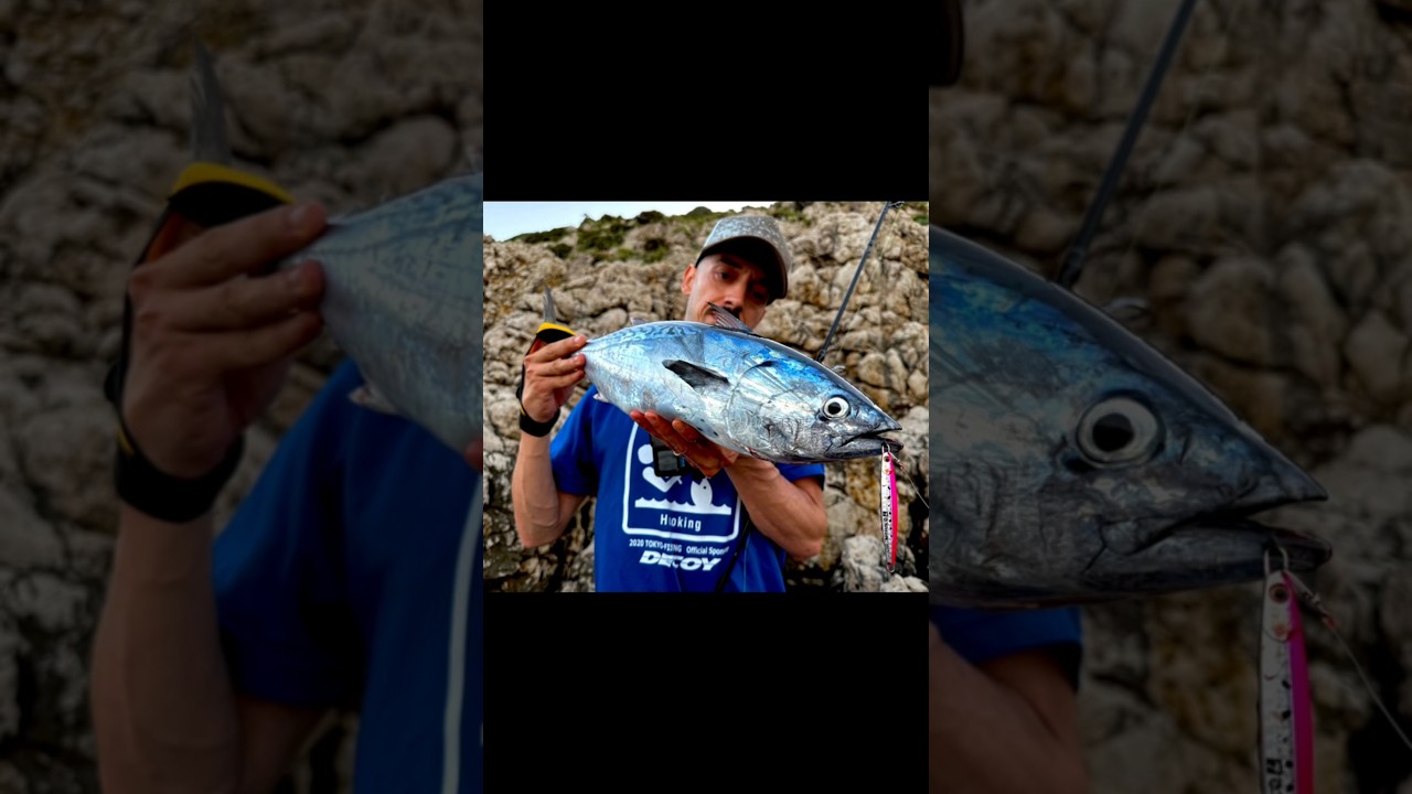 PALMS THE SMELT 30GR, una garanzia per gli alletterati!!! #fishing #inshorefishing #spinning