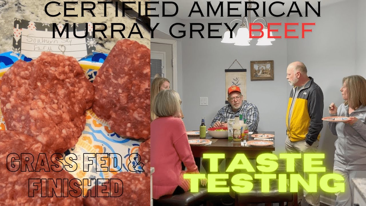 EP. 40 | TASTE TEST | Our Very Own Certified American Murray Grey Beef | Grass Fed & Grass Finished