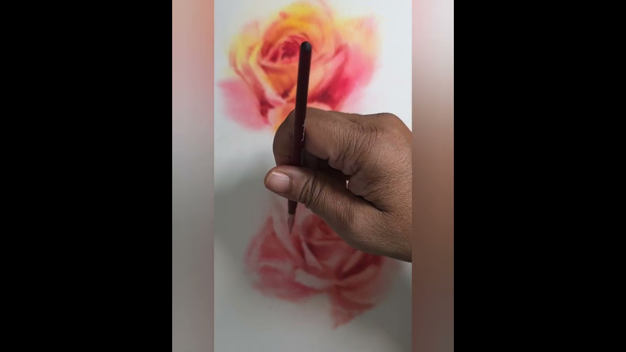 Pink Rose Watercolour 