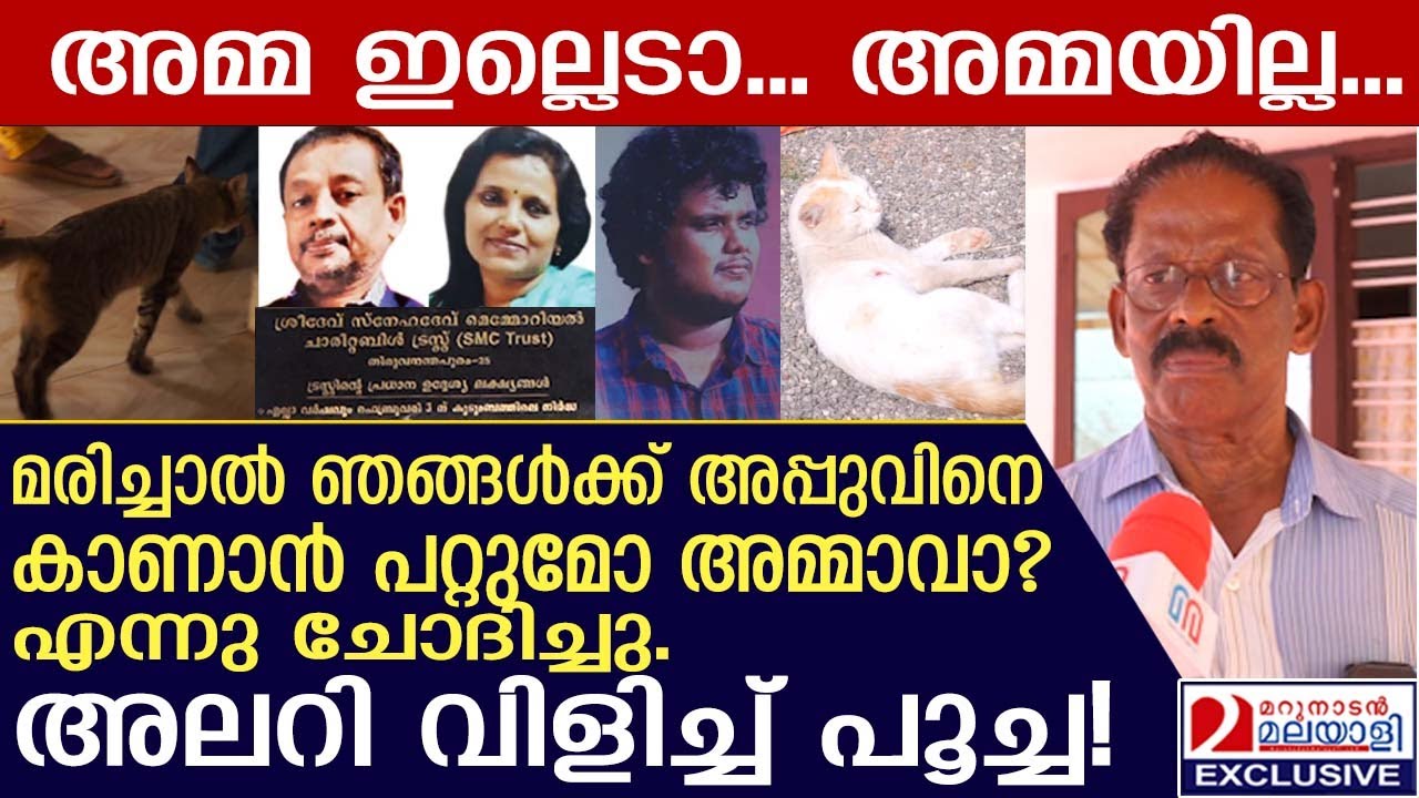 മരിച്ചാൽ ഞങ്ങൾക്ക് അപ്പുവിനെ കാണാൻ പറ്റുമോ അമ്മാവാ?അലറി വിളിച്ച് പൂച്ച | neyyar