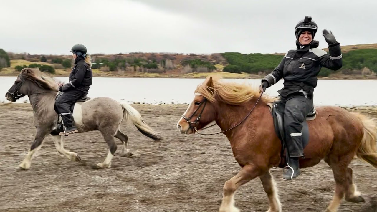 Das solltest du wissen, bevor du in Island reitest auf Isländern