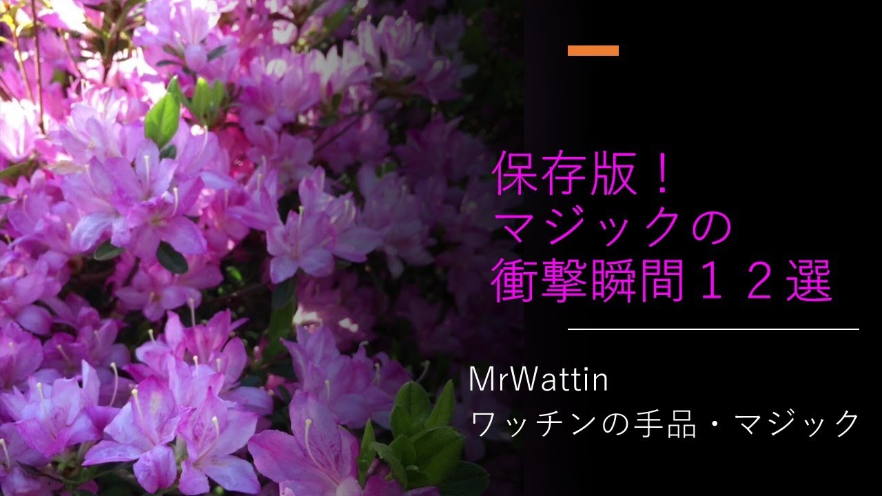 NO.86 保存版！マジックの衝撃瞬間１２選　MrWattin　ワッチンのマジック