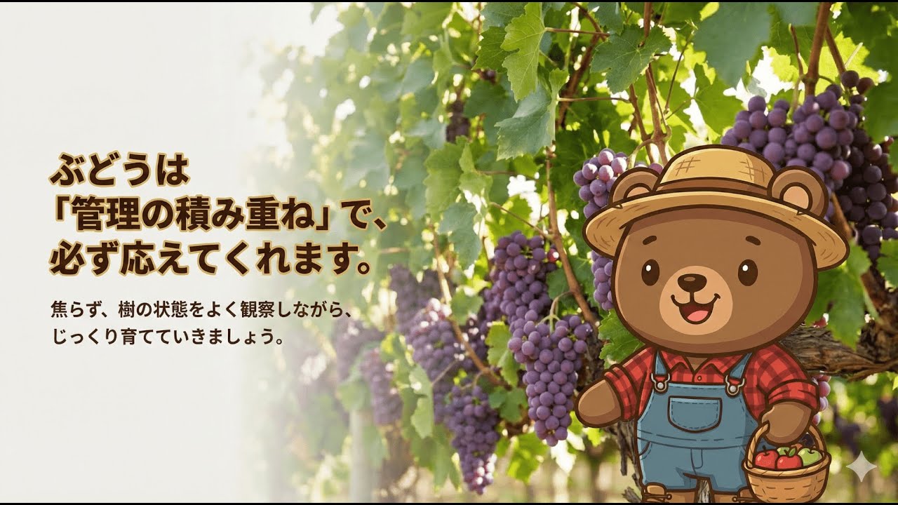ぶどうが実らない原因と対策｜花は咲くのに収穫できない理由