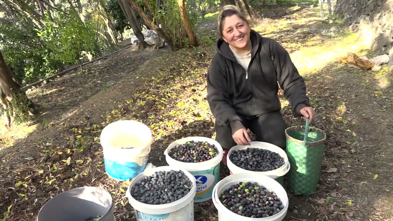 Artvin'de lezzet ödüllü 