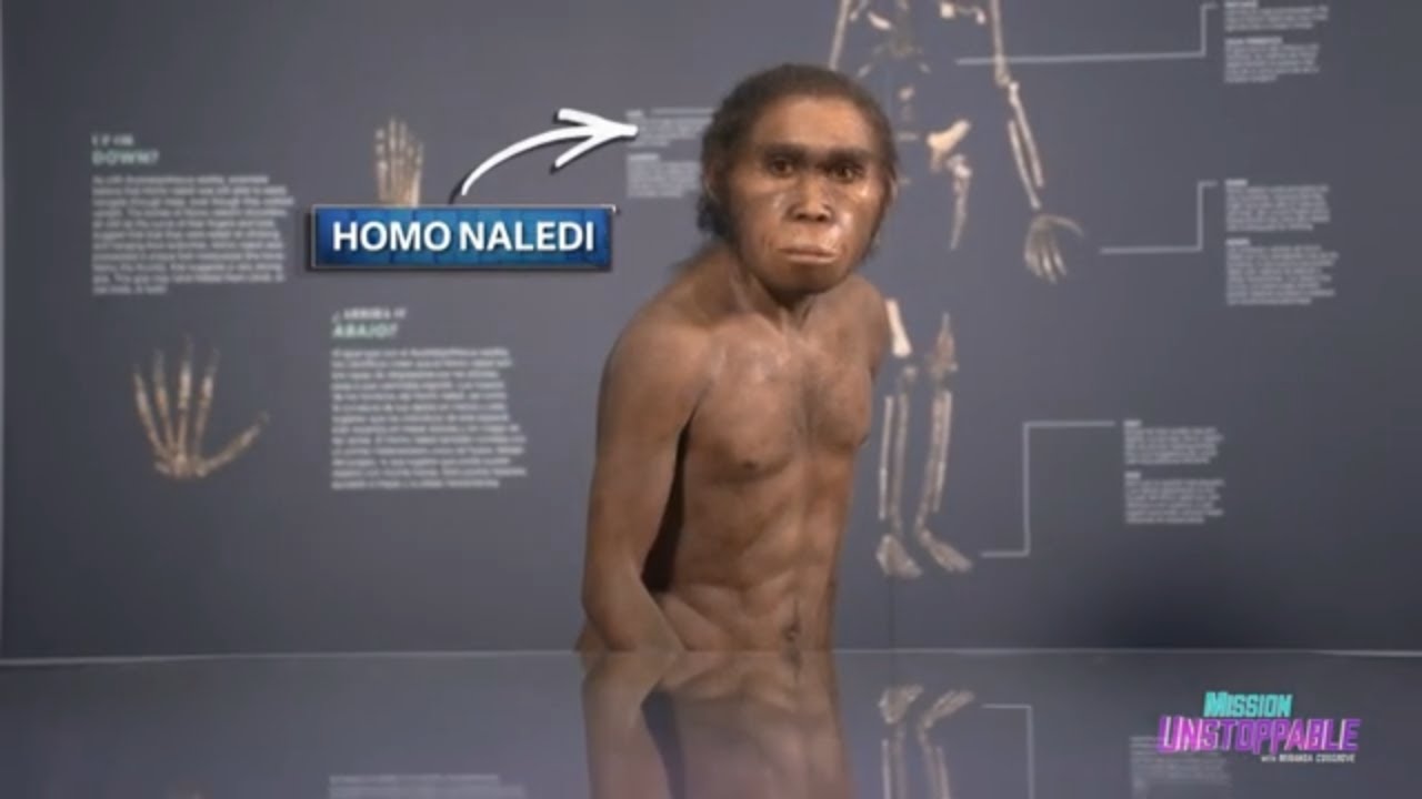 Открытие Homo naledi: доктор Бекка Пейшотто делится своим опытом | Миссия неостановима