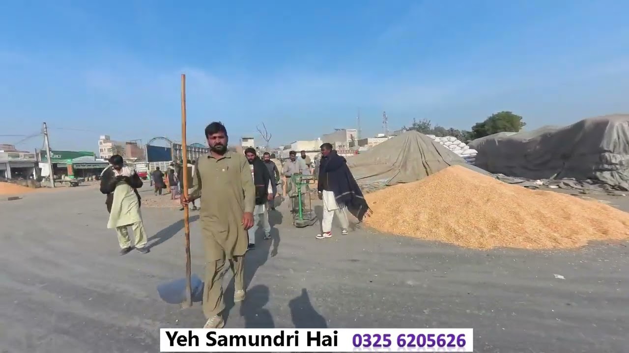 Grain Market Samundri