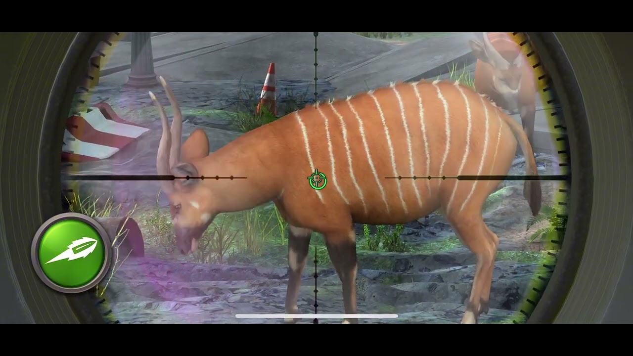Hunting Clash:Hunting Every Animal In The Abandoned Zone Location
