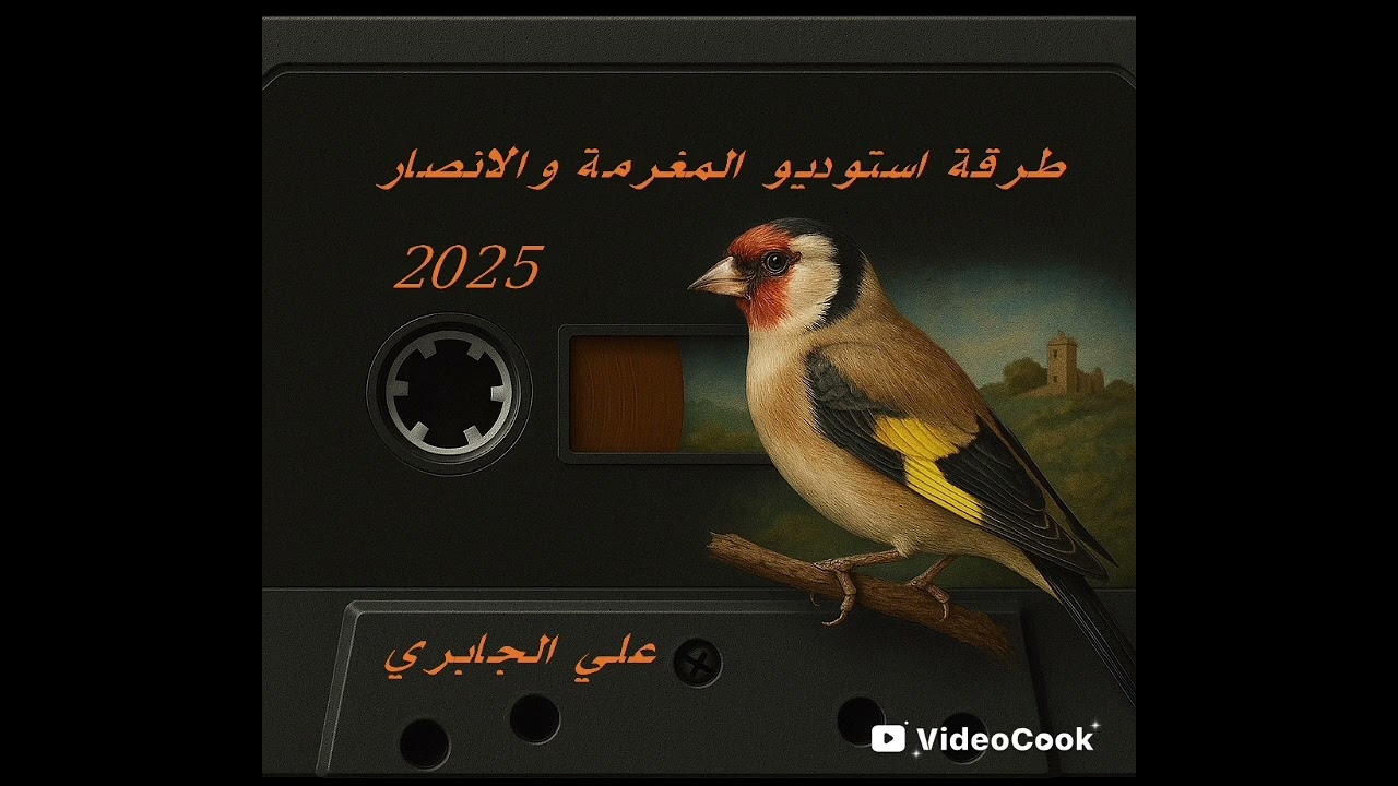 :طرقة المغرمة والأنصار 2025 | Tarqa of Maghrama & Ansar – Return of the Treasures