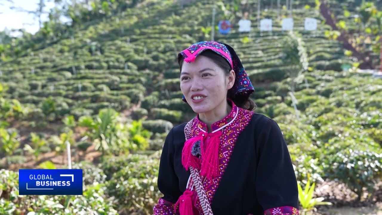 How tea culture is fueling sustainable transformation in China