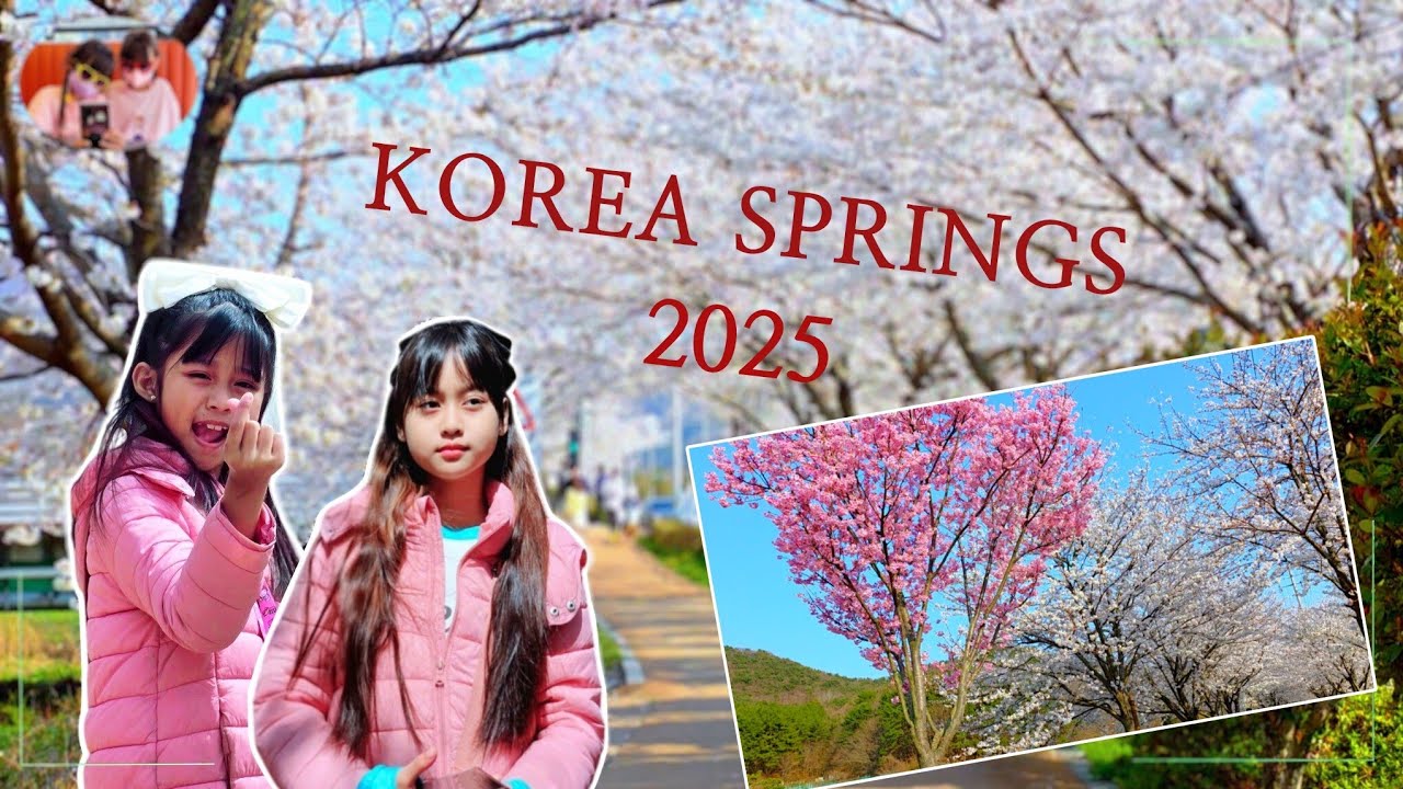 (8K HDR CHERRY BLOSSOM) SPRINGS IN KOREA 2025 // KOREA SPRINGS DESTINATION
