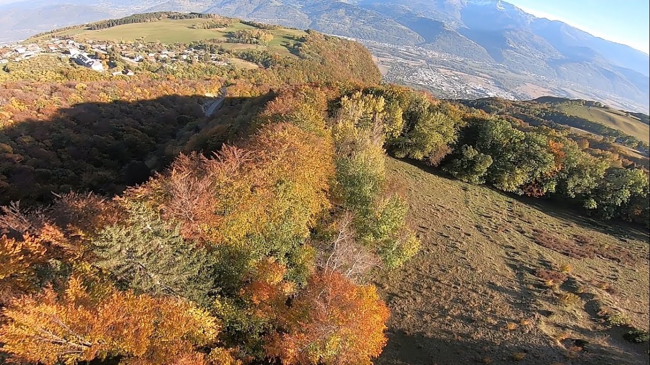 Crolles Autumn Trees - Wingsuit Sweet Line