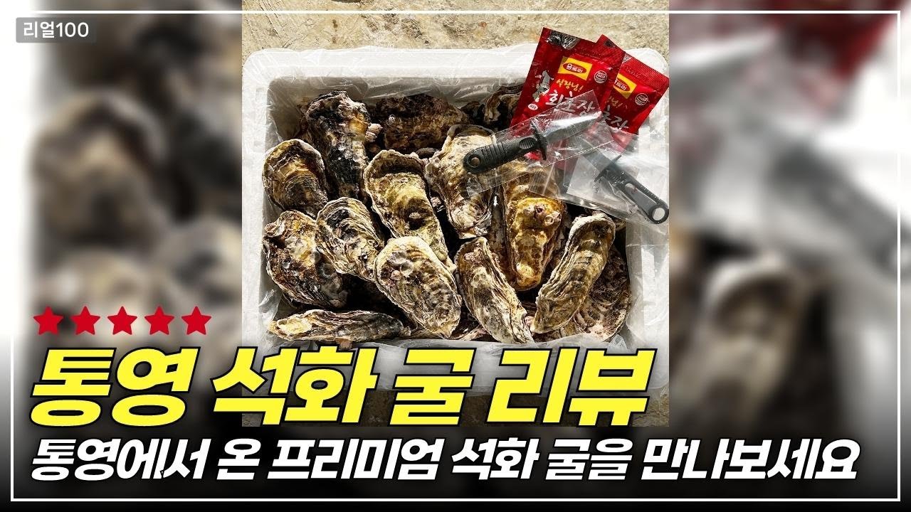 진짜 석화 굴의 세계! 3kg로 푸짐한 해산물 파티 준비하기
