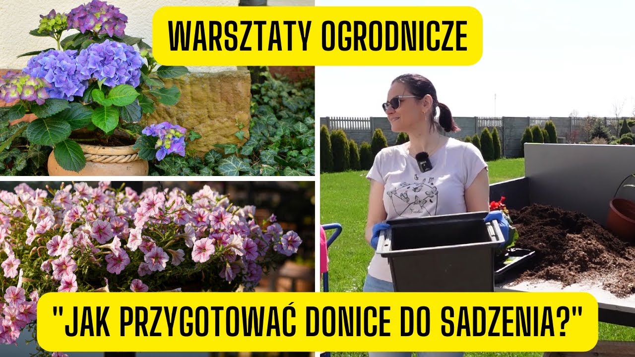 Warsztaty 