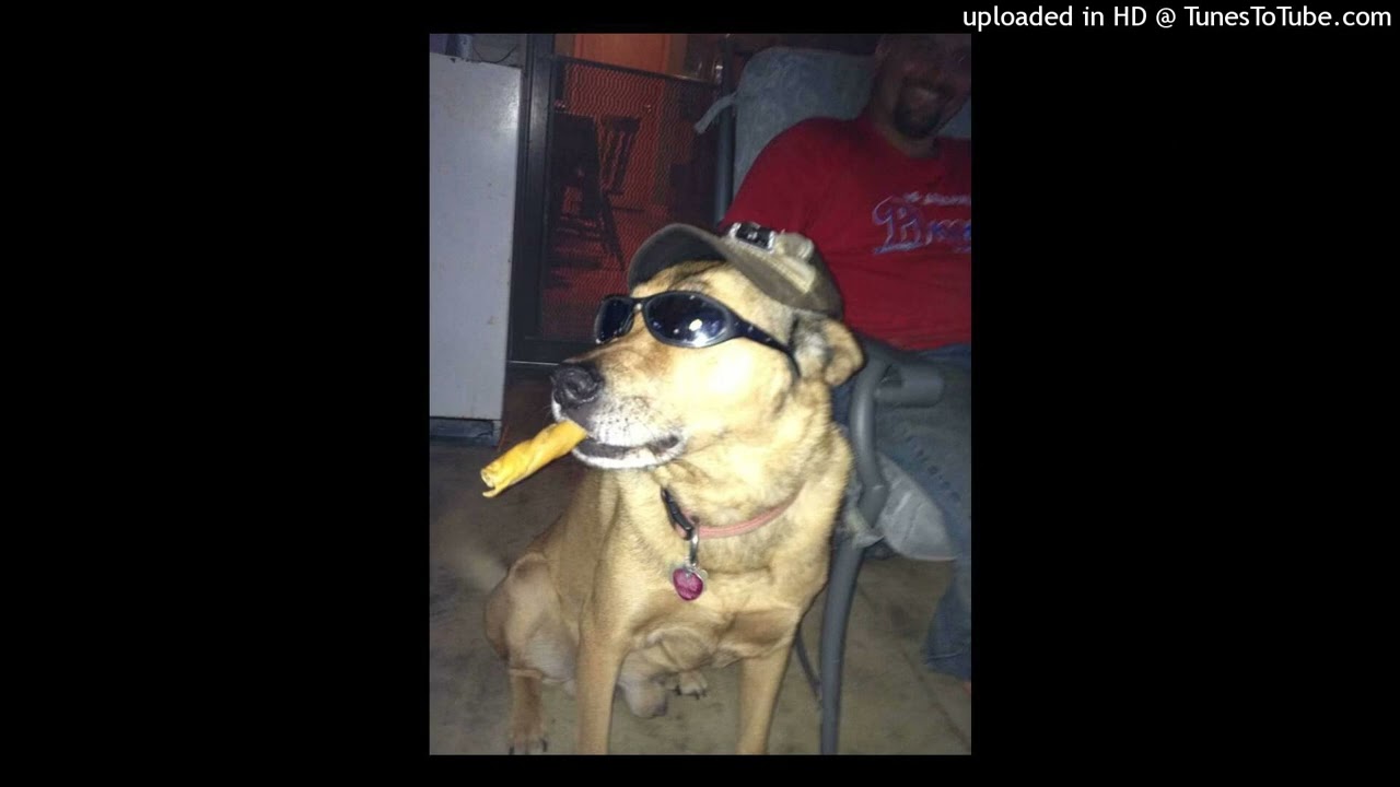 ingenio - GOOFY DANCE @choki