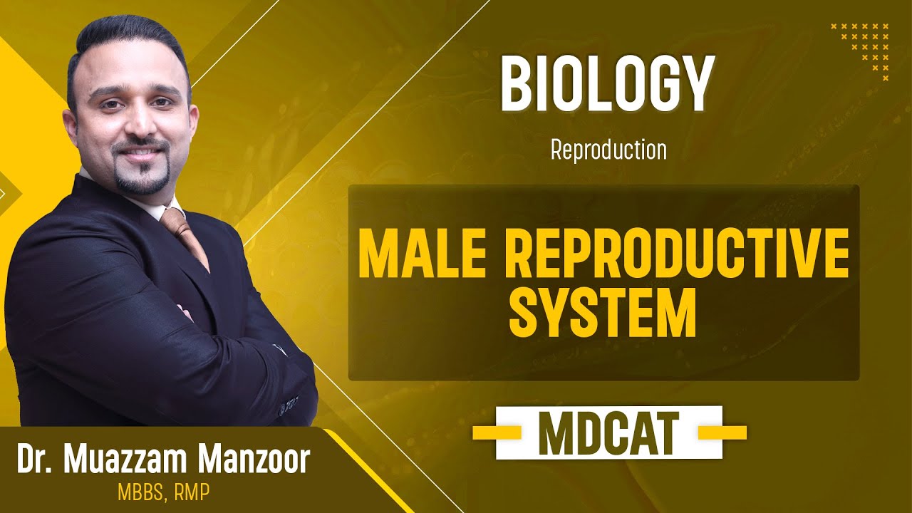 35. Biology | Reproduction | Male Reproductive System - 8.1 | MDCAT 2026