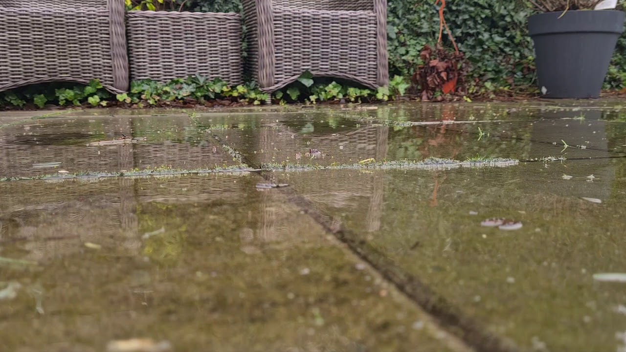 OpenRC F1 testing rain tires
