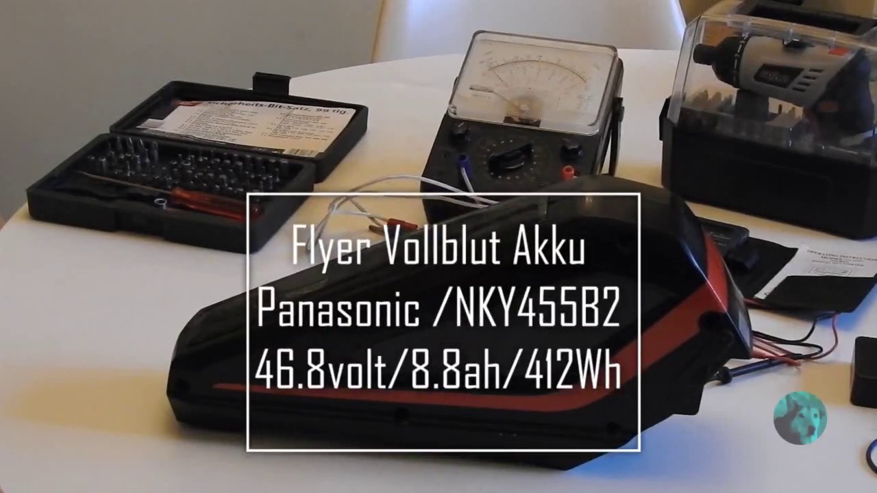 Flyer Vollblut Akku demontage/unboxing