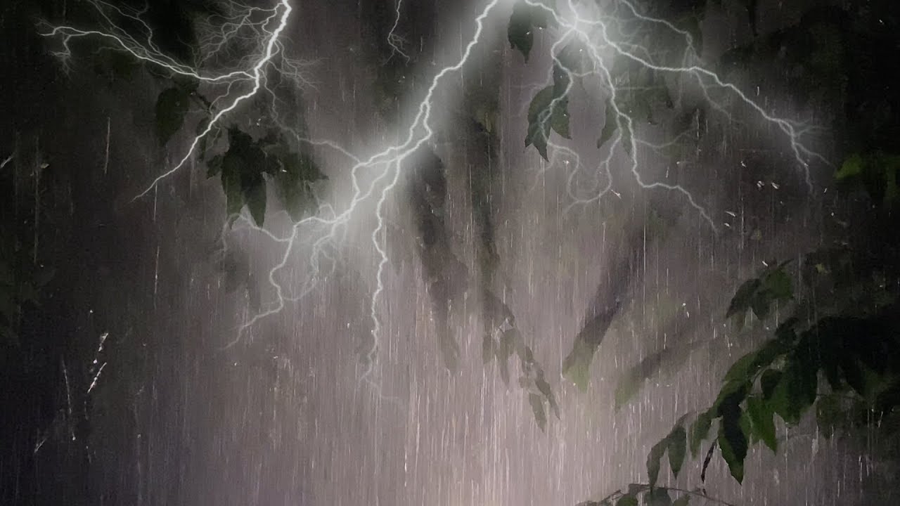 Fall into Deep Sleep Immediately with Dense Heavy Rain & Terrible Thunder Sounds in Forest at Night