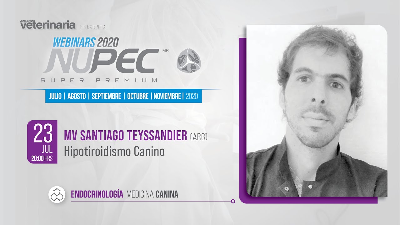 Webinars Nupec 2020 | Endocrinología Medicina Canina