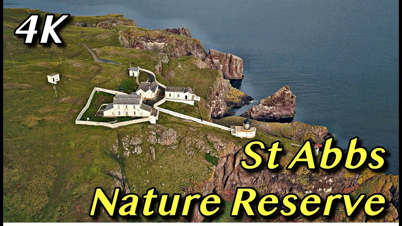 St Abbs Nature Reserve - Scotland 2018