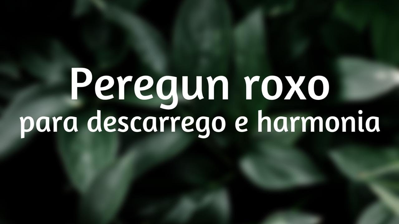 Peregun / Dracena roxa para harmonia [ Banhos | Ervas de limpeza | benzimentos ]