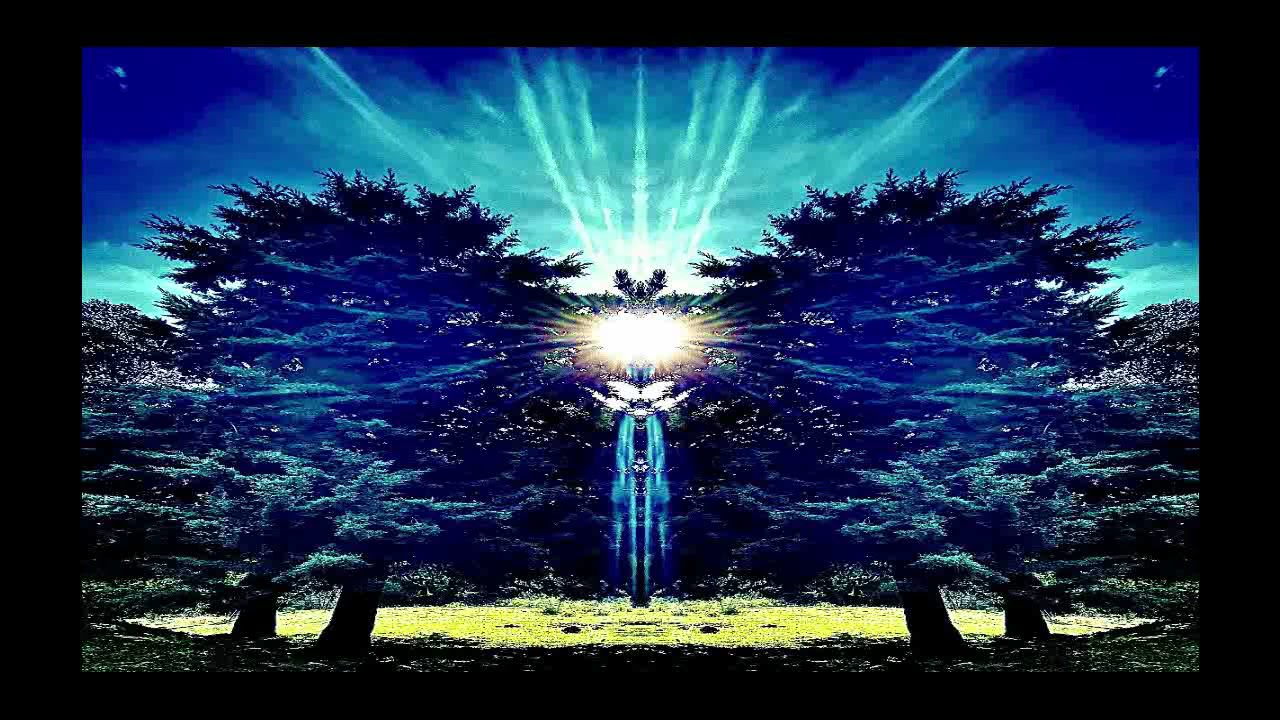 Entheogenic - Invisible Landscapes ᴴᴰ