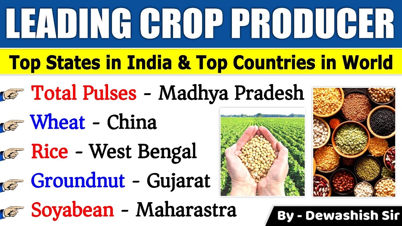 Top Crops Producing State In India | Top States & Countries | महत्वपूर्ण फसल उद्पादक | Dewashish Sir
