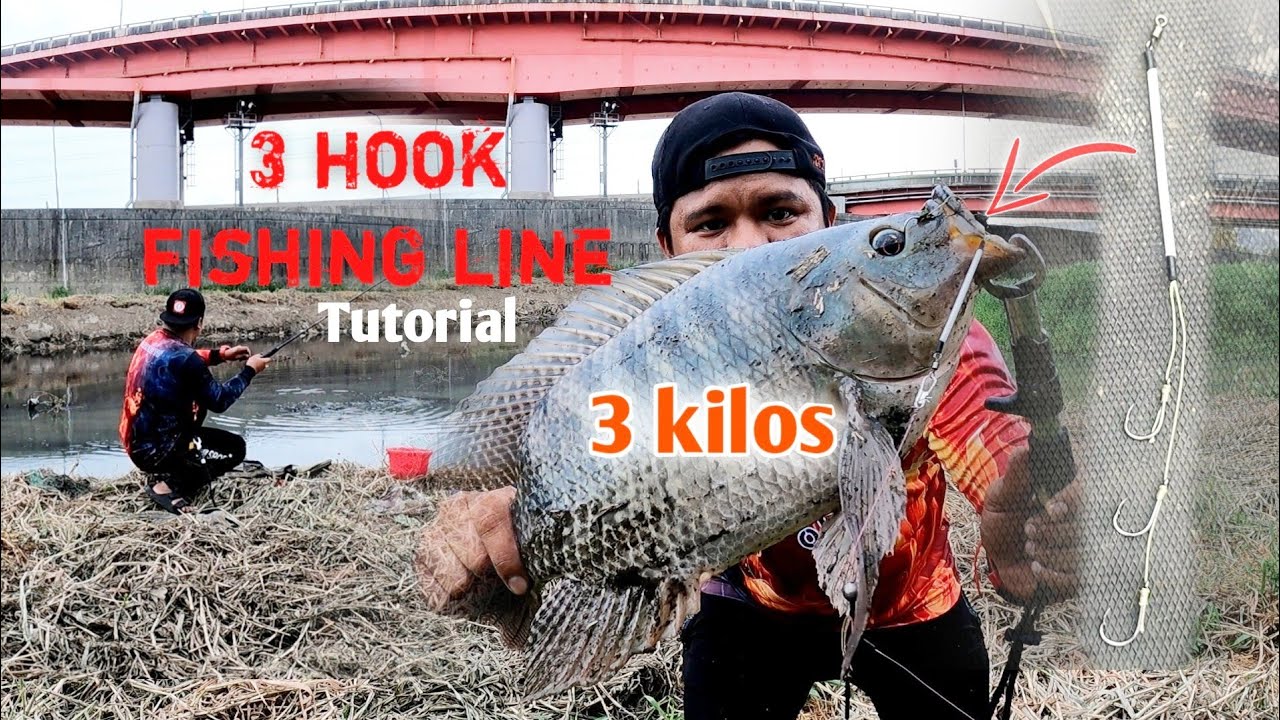 EP43 - 3 KILOS TILAPIA | 3 hook Fishing line Tutorial.. is this effective?
