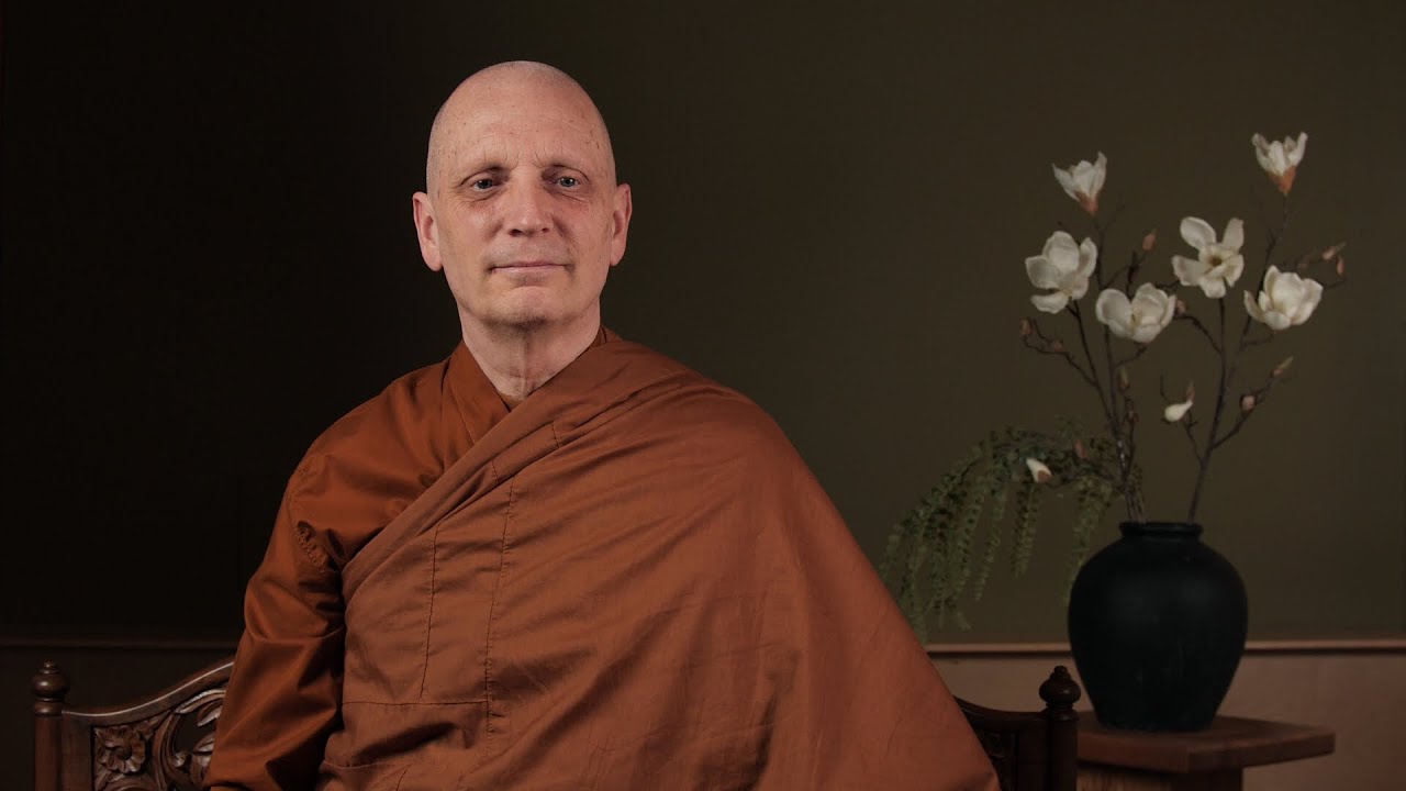 Virtual Metta Retreat (10): Concluding Unscientific Postscript