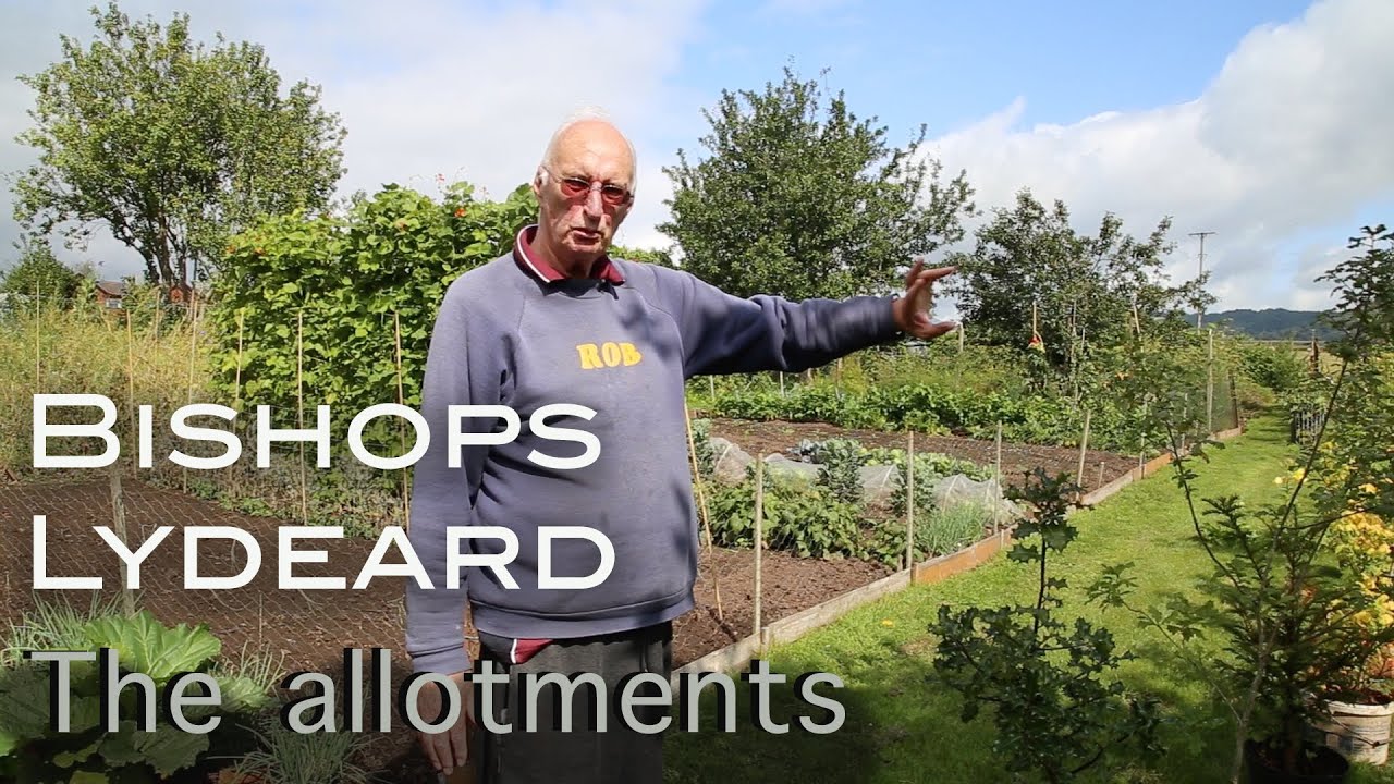 The Allotments - Village Life in Bishops Lydeard, Somerset, UK
