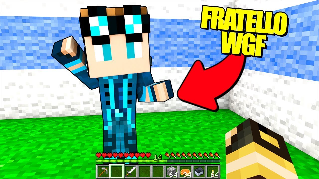 MIO FRATELLO GIOCA A MINECRAFT!! (Minecraft Grief)