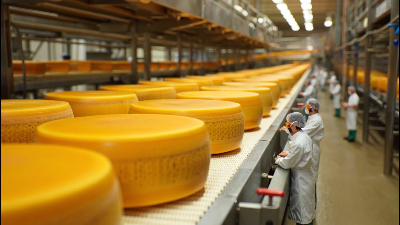 Inside a Modern Cheddar Factory: How Fresh Milk Becomes Aged Cheddar Cheese