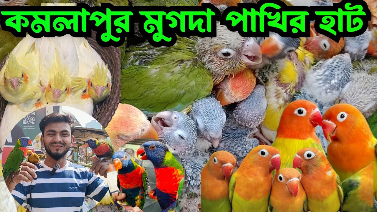 কমলাপুর মুগদা পাখির হাট || Mugdha pakhir hat || মুগদা পাখির হাট ২০২৬ 