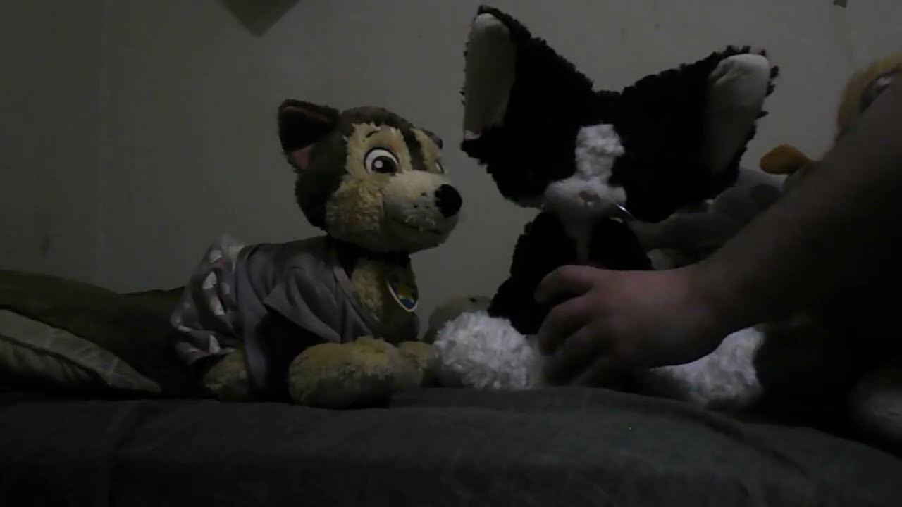 Chase is angry at Tom for stealing his ice cream