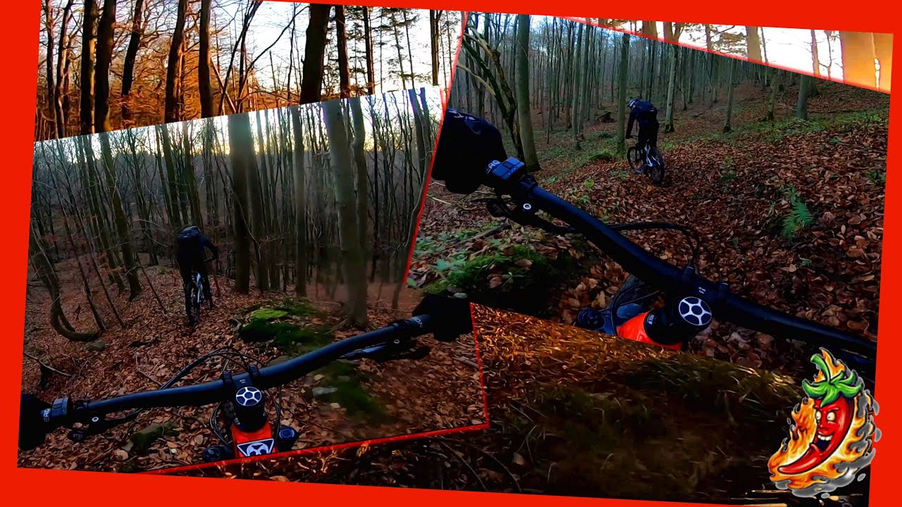 stürmische Zeiten + Regentage  = zu viel Laub // NOX HELIUM Fazua 250 Wh 58 nm - LIGHT e-MTB - CHILI