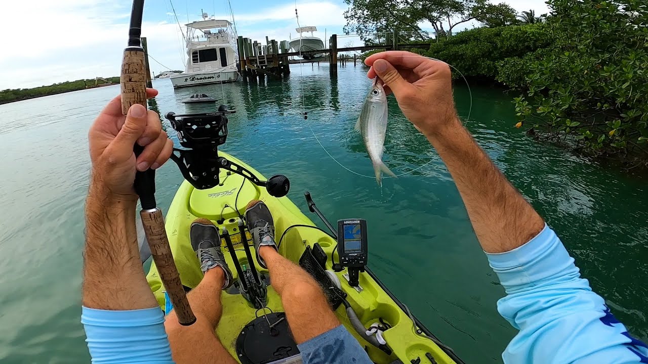 Исследование и рыбалка на индийской реке в поисках клюва