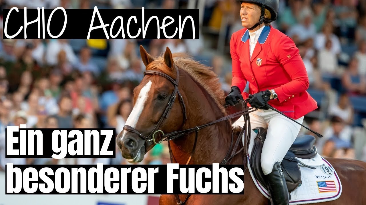 Ein ganz besonderer Fuchs 🤩 | Im Nationenpreis über 1,60m | Elisabeth Madden & Darry Lou