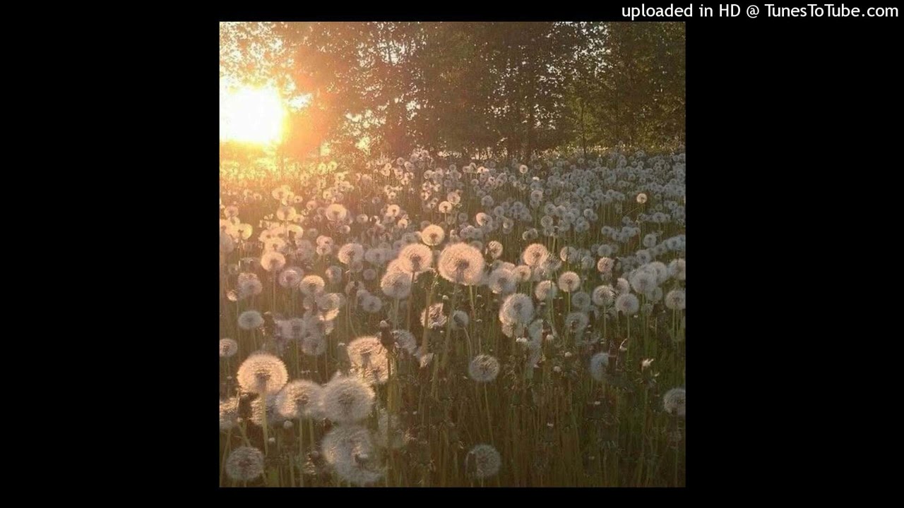 *free* kuru lucy bedroque type beat - sleep